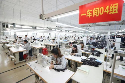 挺起高質量發展的堅實脊梁——全市產業集聚區發展綜述與技術服務支撐