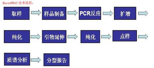 晶能生物技術(shù)(上海) Sequenom MassArray SNP分型技術(shù)服務(wù)報價詳解